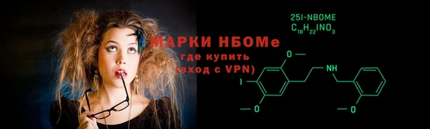 сатива Зеленокумск