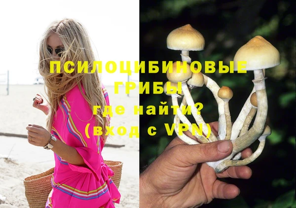 сатива Зеленокумск