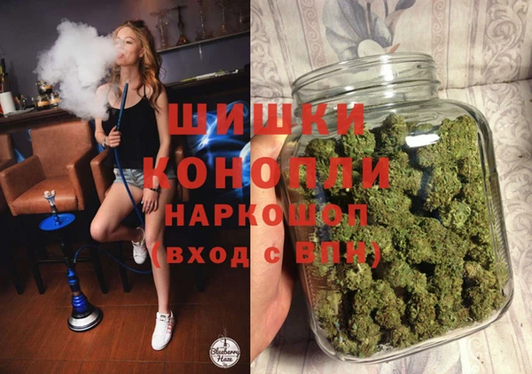 молекула духа Зеленодольск