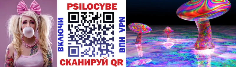 Купить где  Игарка  Псилоцибиновые грибы Psilocybine cubensis 
